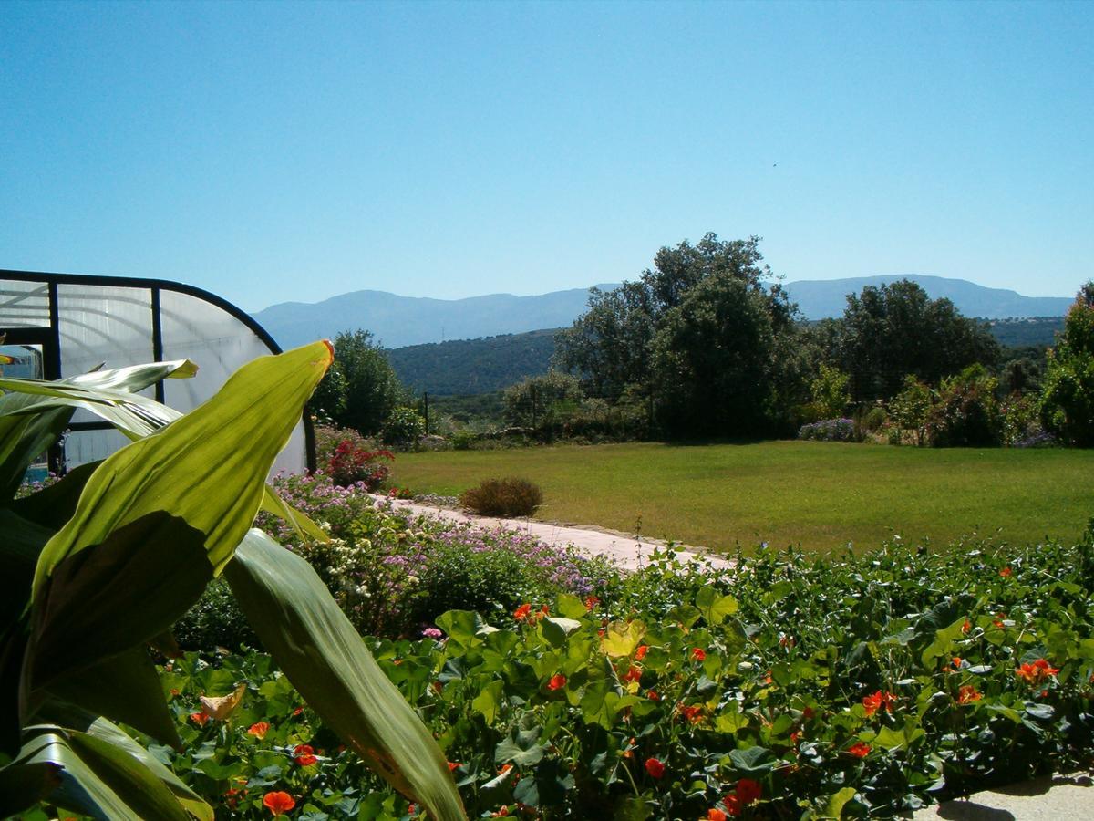 Apartamentos El Jardin Del Poeta Guijo de Granadilla ภายนอก รูปภาพ